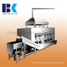 Common Food Special Baking Machine